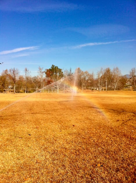 Sprinkler rainbow