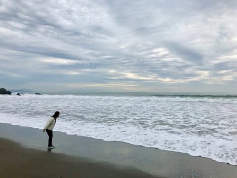 Sausalito shore