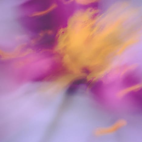 Flower squiggly blur