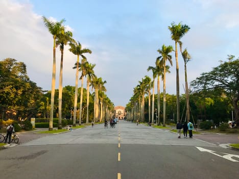 National Taiwan University