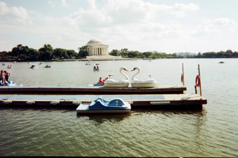 Swan boats